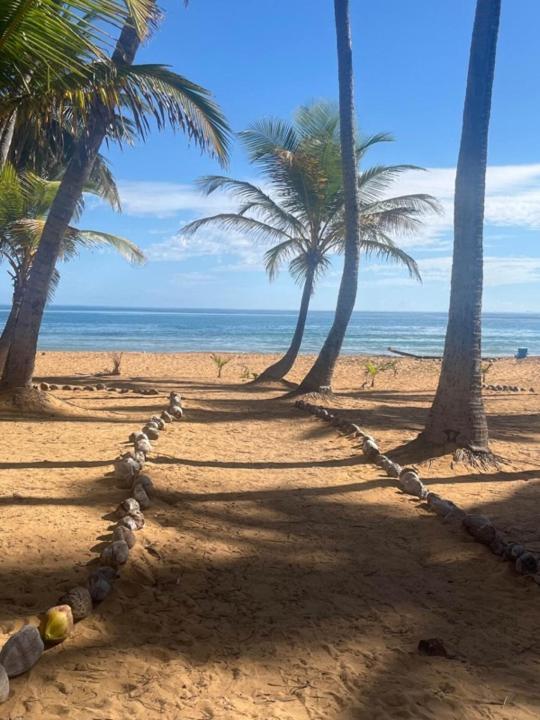Oceanview Apartment Steps To The Beach لوكويللو المظهر الخارجي الصورة